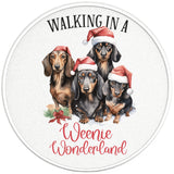 WALKING IN A WEENIE WONDERLAND PEARL  WHITE CARBON FIBER TIRE COVER