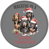 WALKING IN A WEENIE WONDERLAND SILVER CARBON FIBER TIRE COVER