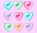 CANDY HEART BRONCO 20 OZ TUMBLER