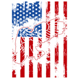 AMERICAN FLAG EAGLE