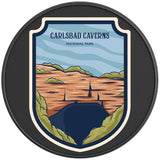 CARLSBAD CAVERNS NATIONAL PARK BLACK CARBON FIBER TIRE COVER