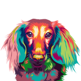 COLORFUL DACHSHUND