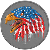 UNITED STATES AMERICAN EAGLE SILVER CARBON FIBER TIRE COVER