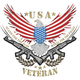 USA FLAG BALD EAGLE