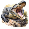ALIGATOR