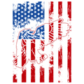AMERICAN FLAG EAGLE