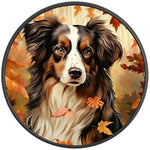 AUSTRALIAN SHEPHERD FALL BLACK CARBON FIBER TIRE COVER