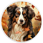 AUSTRALIAN SHEPHERD FALL PEARL  WHITE CARBON FIBER TIRE COVER