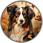 AUSTRALIAN SHEPHERD FALL SILVER CARBON FIBER TIRE COVER