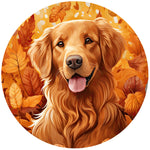 AUTUMN GOLDEN RETRIEVER