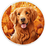 AUTUMN GOLDEN RETRIEVER PEARL  WHITE CARBON FIBER TIRE COVER