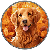 AUTUMN GOLDEN RETRIEVER SILVER CARBON FIBER TIRE COVER