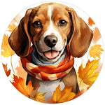 BEAGLE AUTUMN