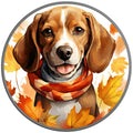 Beagle Autumn