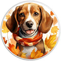 Beagle Autumn