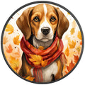 BEAGLE FALL PEARL  WHITE CARBON FIBER TIRE COVER