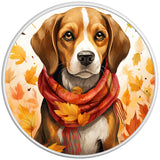 BEAGLE FALL