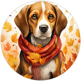 BEAGLE FALL