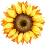 BRIGHT YELLOW SUNFLOWER