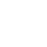 BRONCO SUNFLOWER OXFORD WHITE