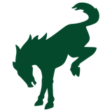 BUCKING BRONCO ERUPTION GREEN