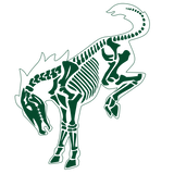 BUCKING BRONCO SKELETON ERUPTION GREEN