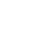 BUCKING BRONCO SKELETON OXFORD WHITE