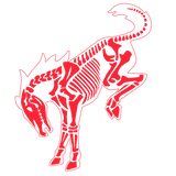 BUCKING BRONCO SKELETON RACE RED