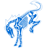 BUCKING BRONCO SKELETON VELOCITY BLUE