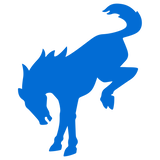 BUCKING BRONCO VELOCITY BLUE