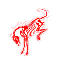 Bucking Skeleton Horse