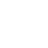 CLASSIC BRONCO OXFORD WHITE