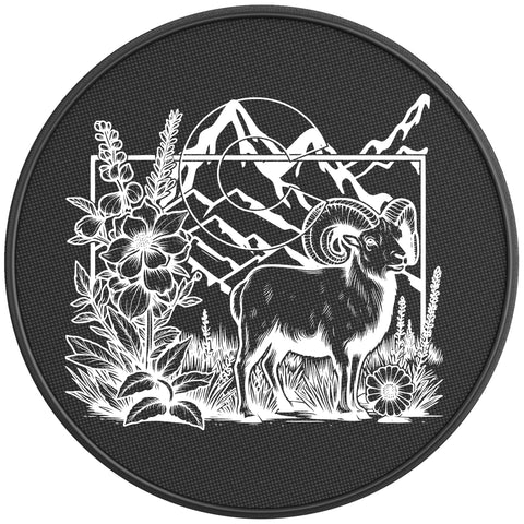 COLORADO COMPILATION BLACK CARBON FIBER TIRE COVER