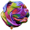 COLORFUL BULLDOG