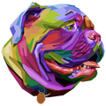 COLORFUL BULLDOG