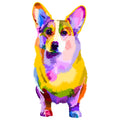 COLORFUL CORGI
