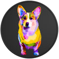 Colorful Corgi