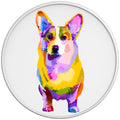 Colorful Corgi