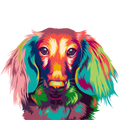 COLORFUL DACHSHUND