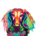 COLORFUL DACHSHUND