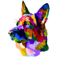 COLORFUL GERMAN SHEPHERD