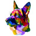 COLORFUL GERMAN SHEPHERD