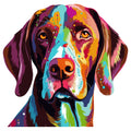 COLORFUL GERMAN SHORTHAIRED POINTER