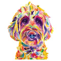 COLORFUL GOLDENDOODLE