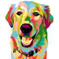 COLORFUL GOLDEN RETRIEVER