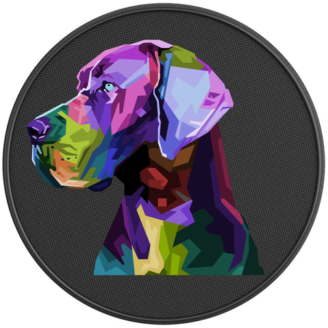 COLORFUL GREAT DANE BLACK CARBON FIBER TIRE COVER