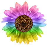 COLORFUL RAINBOW SUNFLOWER