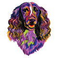 COLORFUL SPRINGER SPANIEL