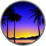 COLORFUL VIBRANT SUNSET SILVER CARBON FIBER TIRE COVER