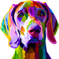 COLORFUL WEIMARANER